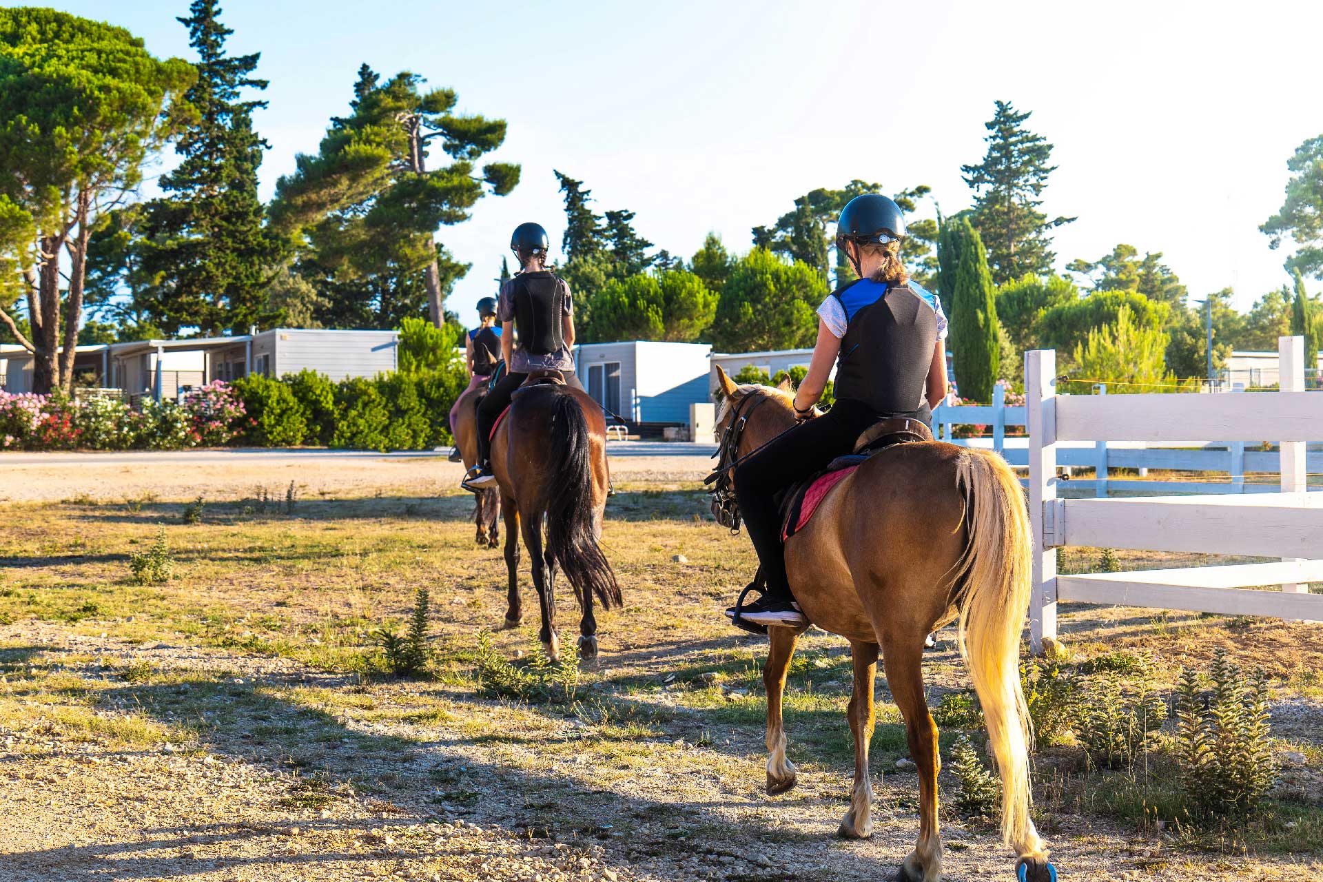 Horse center Horse center