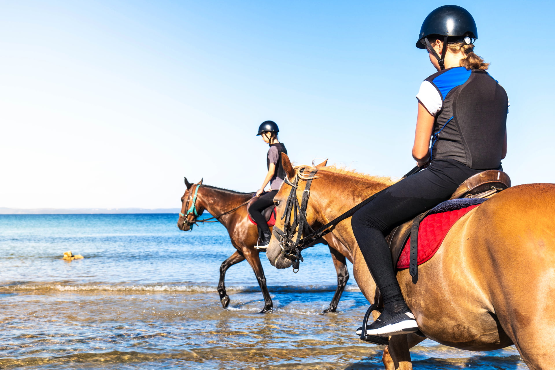 Zaton Holiday Resort Sport and recreation Horseback riding in Zaton Holiday Resort